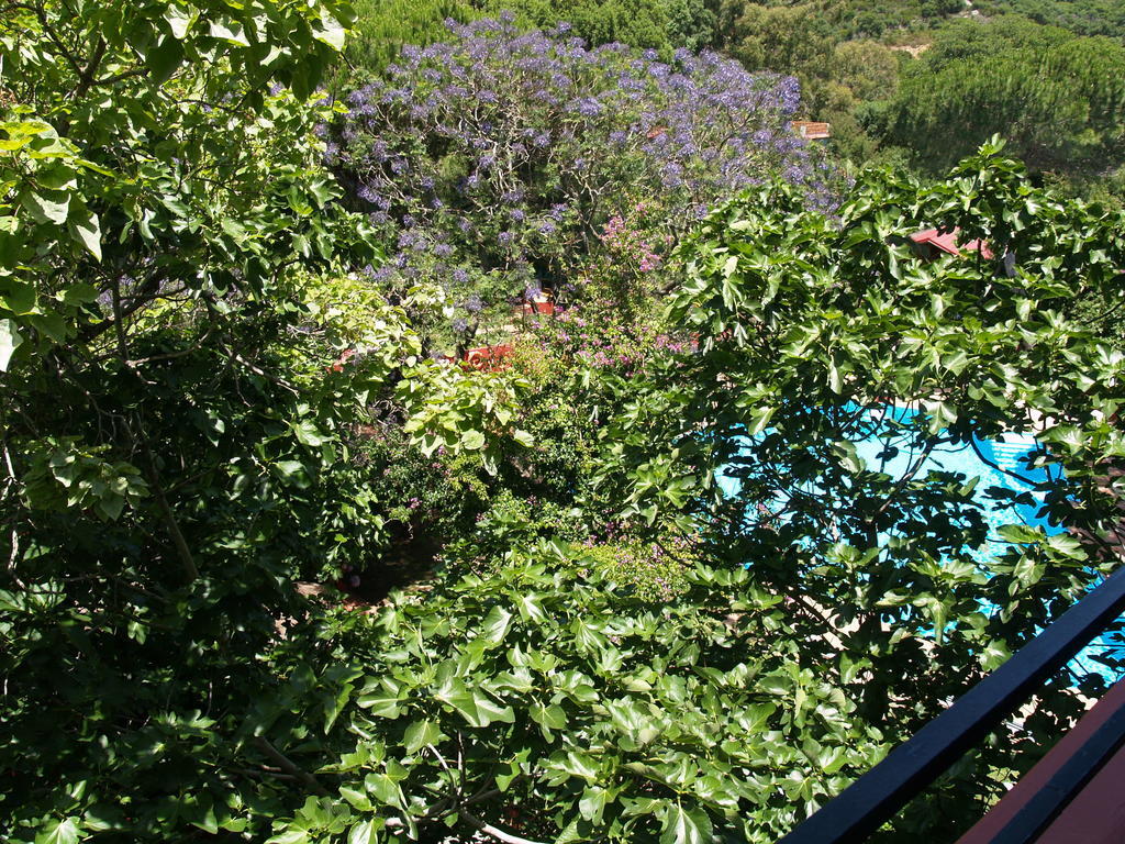 Meson De Sancho Hotel Tarifa Luaran gambar